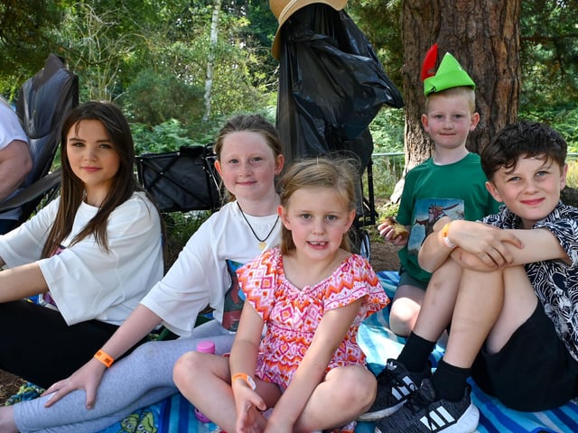 Children settle down to watch Disney's Robin Hood at Sherwood Forest on Saturday, July 29.