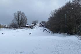People headed to Fisher Lane Park in Mansfield to go sledging