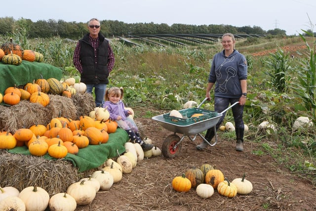 Mark, Amy and Poppy Houldsworth showcasing their pumpkins.