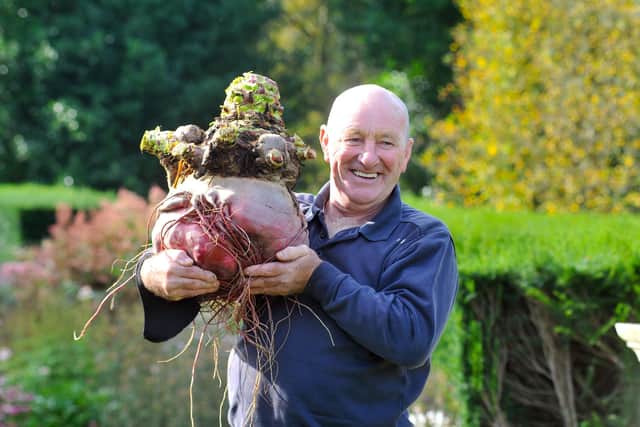 Joe Atherton with his 16.8kg winning beetroot at the 2021 Harrogate Autumn Flower Show, at Newby Hall.
