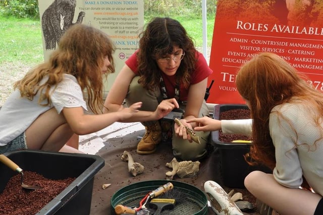 There's fun for all the family with a hands-on archaeology event at the Creswell Crags Museum and Heritage Centre in Welbeck on Saturday. Discover how archaeologists learn about life in the Ice Age and have a go in the museum's dig-boxes to find replicas of the bones and tools that were found in the caves at Creswell. With the help of experts, you can even try creating some portable art.