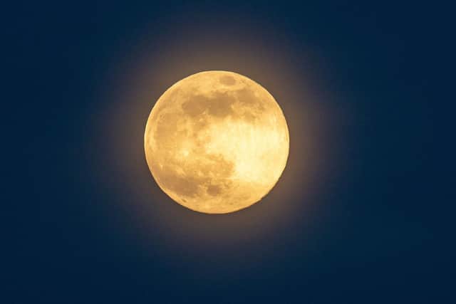 Last year's pink supermoon. Picture: Bruce Rollinson