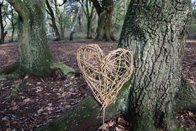 Follow the crafted hearts along the Love Edwinstowe and Sherwood Forest Trail