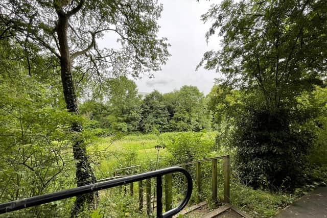 Quarry Lane Nature Reserve.