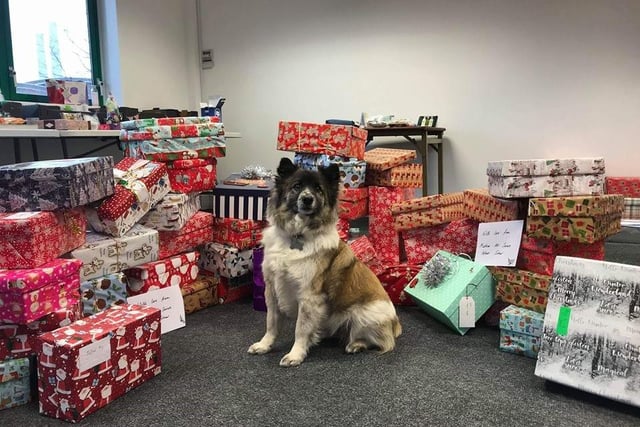 An extra gift at the collection of the Chesterfield Christmas Shoe box Appeal in 2018