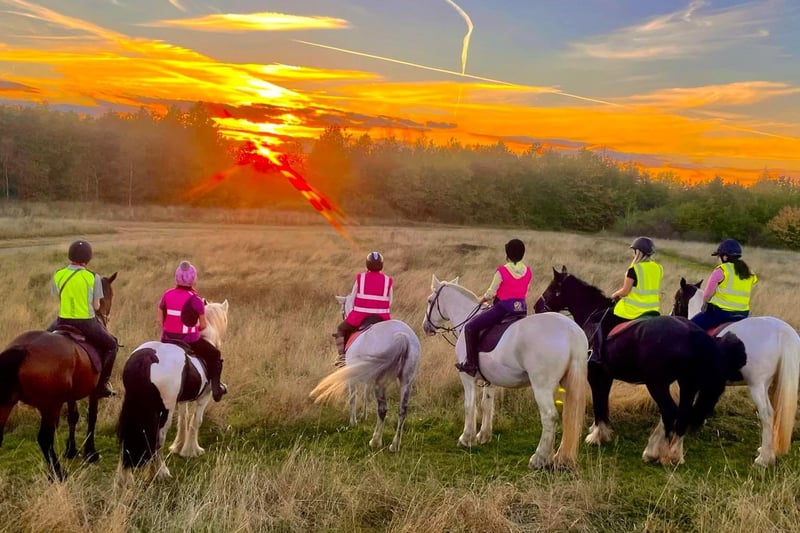 Derbyshire Pony Trekking made the top 10. With more than 800 reviews, it was a highly-recommended experience. Derbyshire Pony Trekking is based on Scarcliffe Lanes, Upper Langwith.