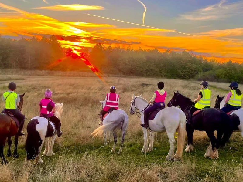 Derbyshire Pony Trekking made the top 10. With more than 800 reviews, it was a highly-recommended experience. Derbyshire Pony Trekking is based on Scarcliffe Lanes, Upper Langwith.