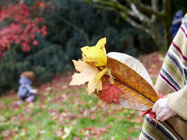 Make the most of a free National Trust day out over autumn