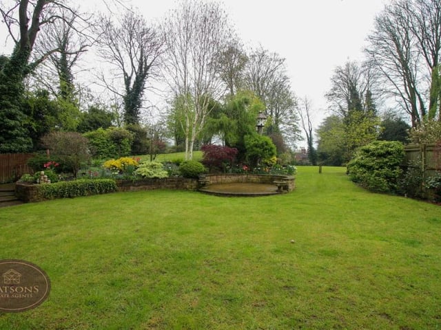 More garden greenery at Eve Mews.