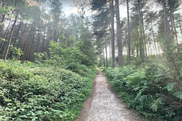 Fancy a bike ride instead? Sherwood Pines offers a variety of routes perfect for spring.