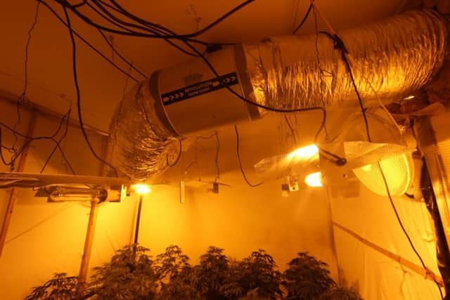 Four men have been arrested after 200-plus cannabis plants and £10,000 in cash were discovered at a Clipstone property