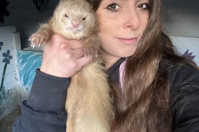 Rosie Stubbs, 31, once had up to 85 ferrets in her care through breeding, rescuing and her own collection. Credit: Rosie Stubbs/SWNS