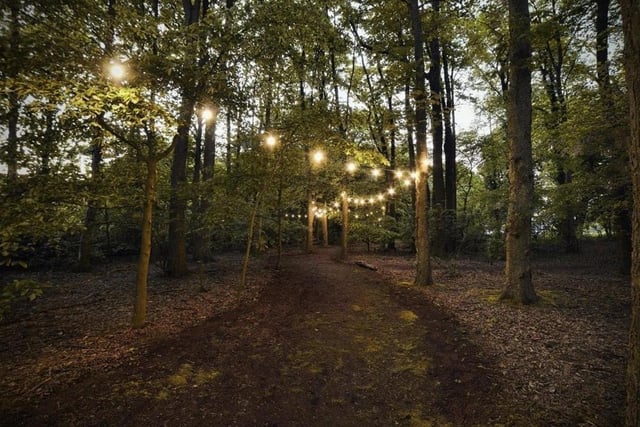 Ever heard of a woodland disco festival? Well, you have now because Nottingham's first is taking place just down the road at Lime Lane Woods in Arnold on Saturday. The fairytale setting of majestic woodland, enhanced by dazzling visuals, provides the perfect setting for an array of internationally acclaimed artistes on two stages.