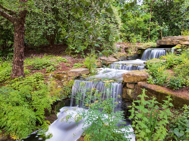 The garden’s waterfall helps to circulate water in the lake, thereby oxygenating and revitalising it