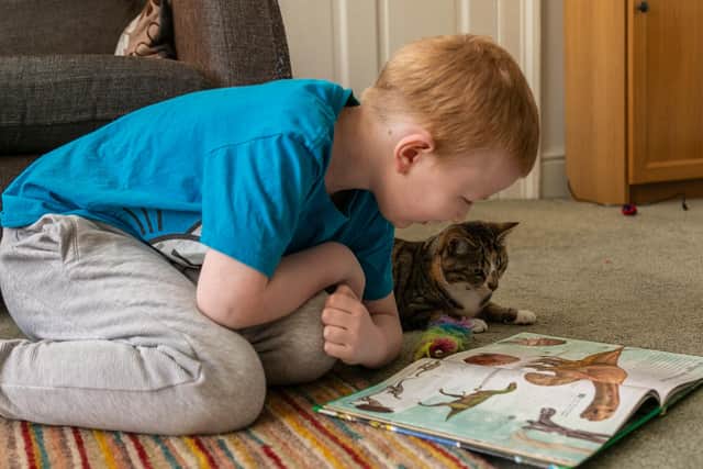 Chi and Finley Black, winners in the National Cat Awards last year.