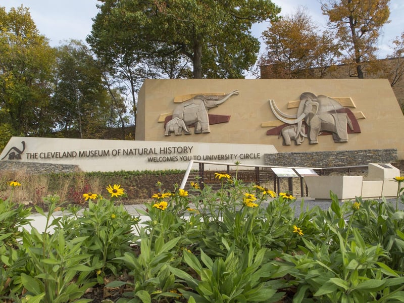 Cleveland Museum of Natural History is a must visit attraction
