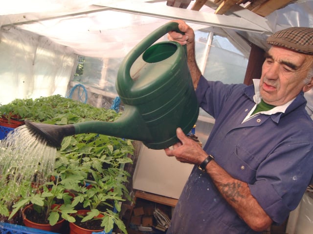 Forest Town Allotments: Les Pearson Chairman Elect of Forest Town Gardeners Association. 2007.
