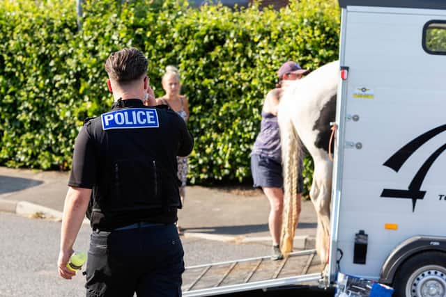 Horse transport to move horses from the immediate danger zone was provided