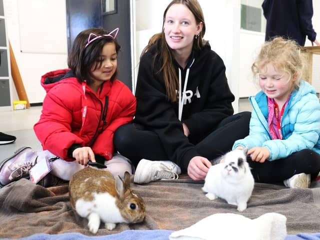 Meeting the animals in the animal care unit