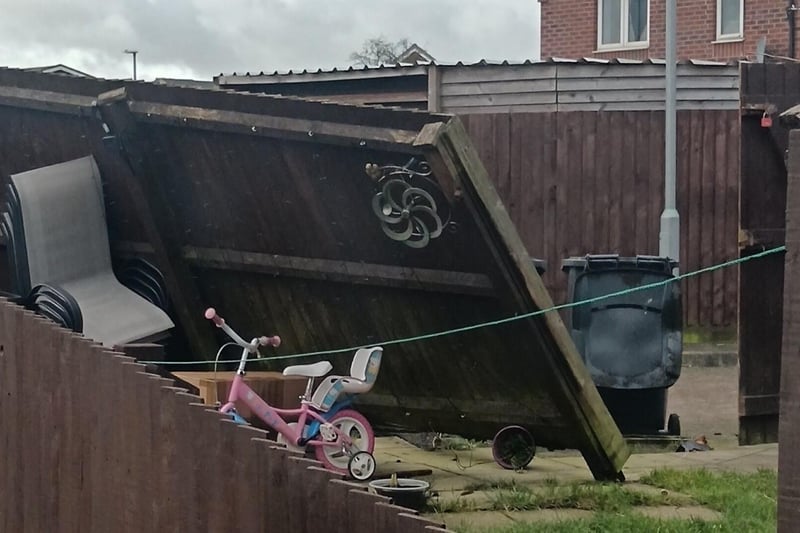 Donna Hutchinson sent us this photo of her neighbours fence