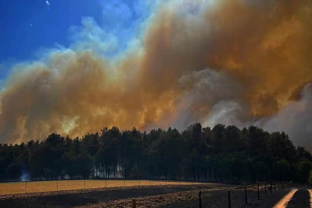 The fire rages on farmland and woodland in Blidworth yesterday afternoon. The smoke could seen for miles around.