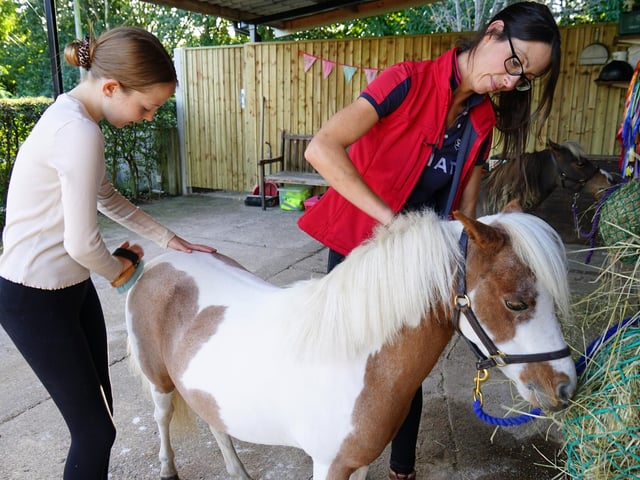 Owner Jo Shaw-Brown with daughter, Elise Shaw-Brown, grooming Dream.