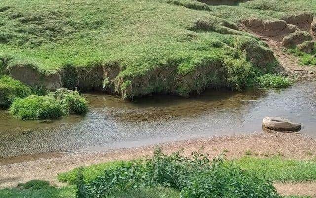 Peaceful scene on the River Wreake