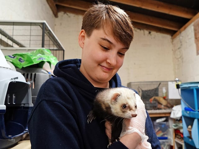 Kai Booth, a Level 3 animal care student from Vision West Notts, enjoys the practical experience.