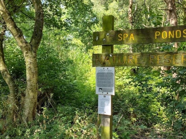 Spa Ponds Nature Reserve, also known as Gara Ponds, is a historic and tranquil community-owned wildlife site near Mansfield that is open 24 hours a day, making it fully accessible for a Boxing Day walk. Connecting Trails: The public bridleway known as Packman's Way runs through the reserve, and the area links to several longer walking routes, including sections of the Maun Trail and routes to Vicar Water Country Park and Kings Clipstone. Terrain: Paths vary from firm tracks to more sandy or earthy surfaces, some of which can be boggy or steep in places. Appropriate footwear is recommended.
