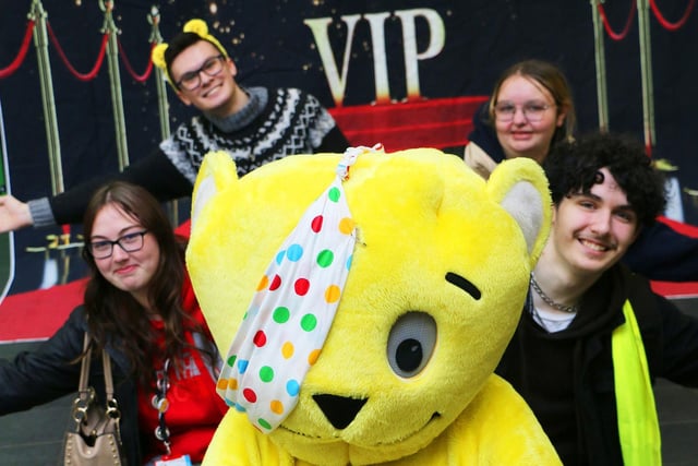 The VIP bear with friends