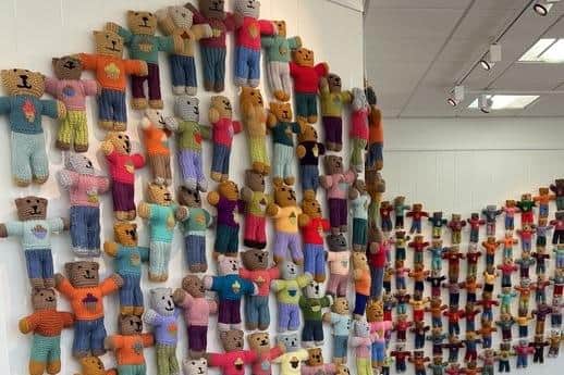 Brave Bears take over Mansfield Central Library.