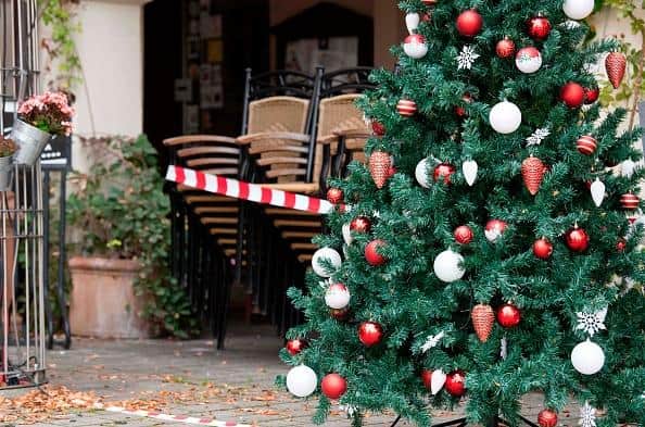 People are being urged to check their Christmas trees for lumps attached to the branches.