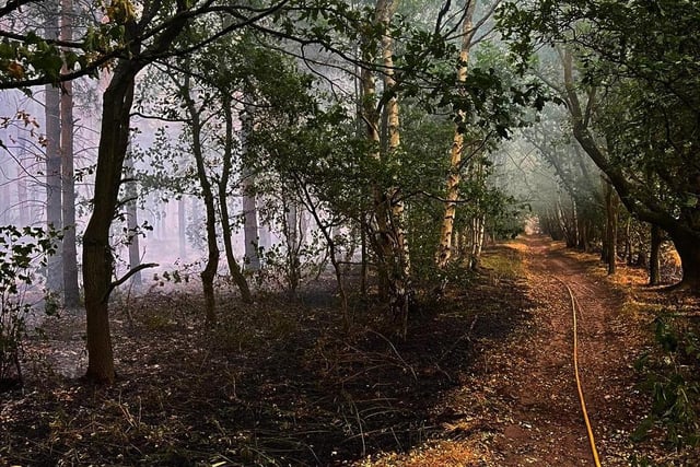 Conditions were difficult, deep in the forest, for firefighters as the Blidworth blaze raged. Crews from Shirebrook fire station were mobilised at 4.35 pm and stayed for six hours. A spokesperson said: "We would like to thank everyone we worked alongside, as well as fire control. It was an outstanding performance."