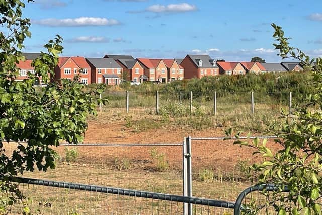 The development site.