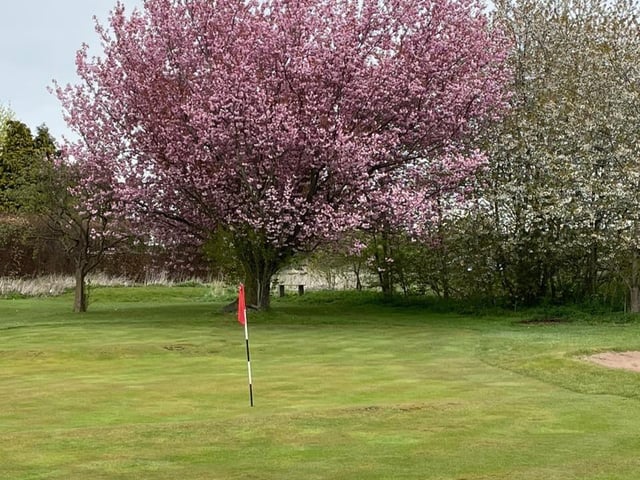 Mansfield Woodhouse Golf Club, A60 on Leeming Lane, is a 4.2 rated 9-hole course. It has over 70 reviews.