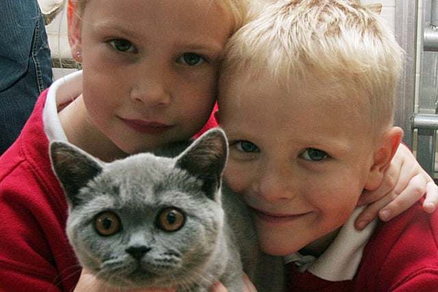 2007: At DH Lawrence School pet show and summer fair are Alysha Emberton, six, and Blaze Emberton, four,  with Bluebell the cat.