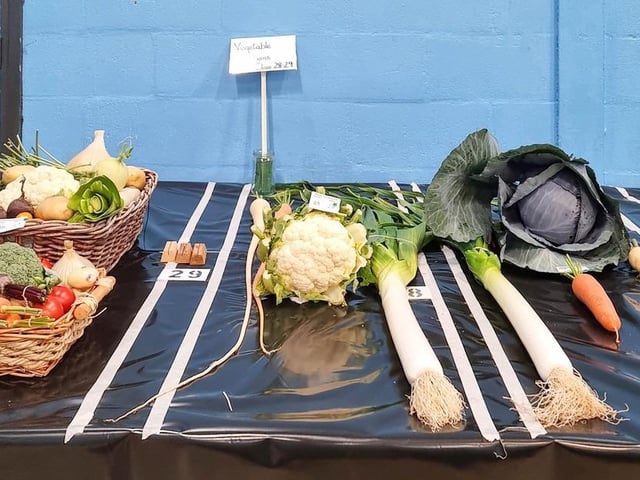 Collections of vegetables