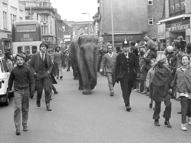 Who remembers when the circus came to town?
