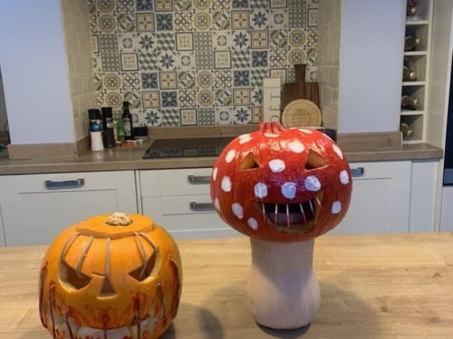 Leasa had fun with this fungi design.