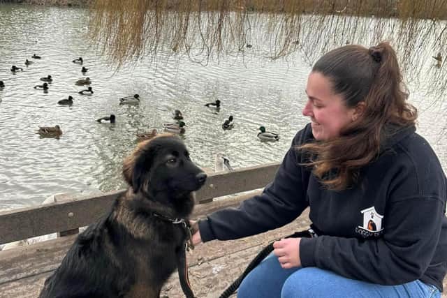 Jade Sheldon, Doggy Dens Rescue kennel manager, with Julio on a walk.
