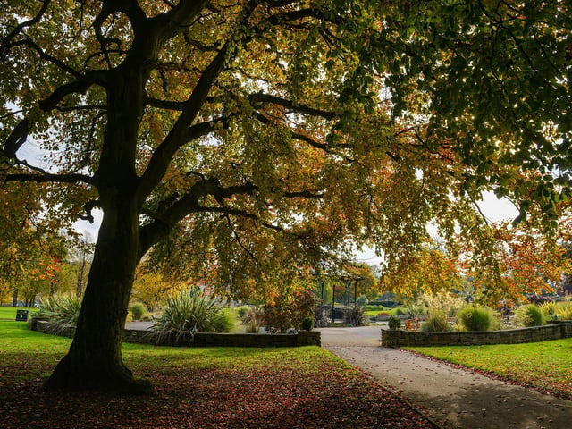 Autumnal Mansfield