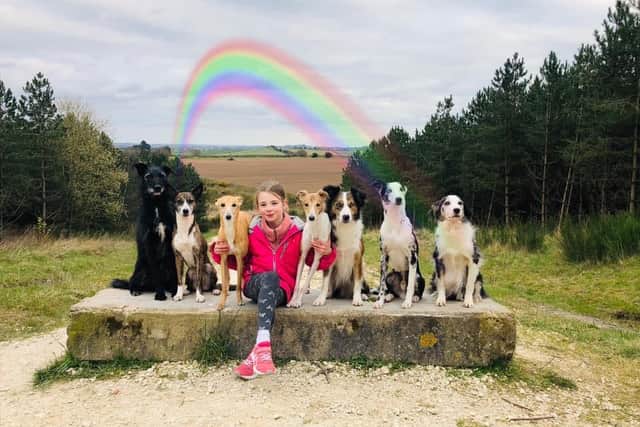 Blidworth 10-year-old who is doing a 10k challenge to raise funds for NHS seen with her seven dogs! Picture: Emma Mason/Facebook