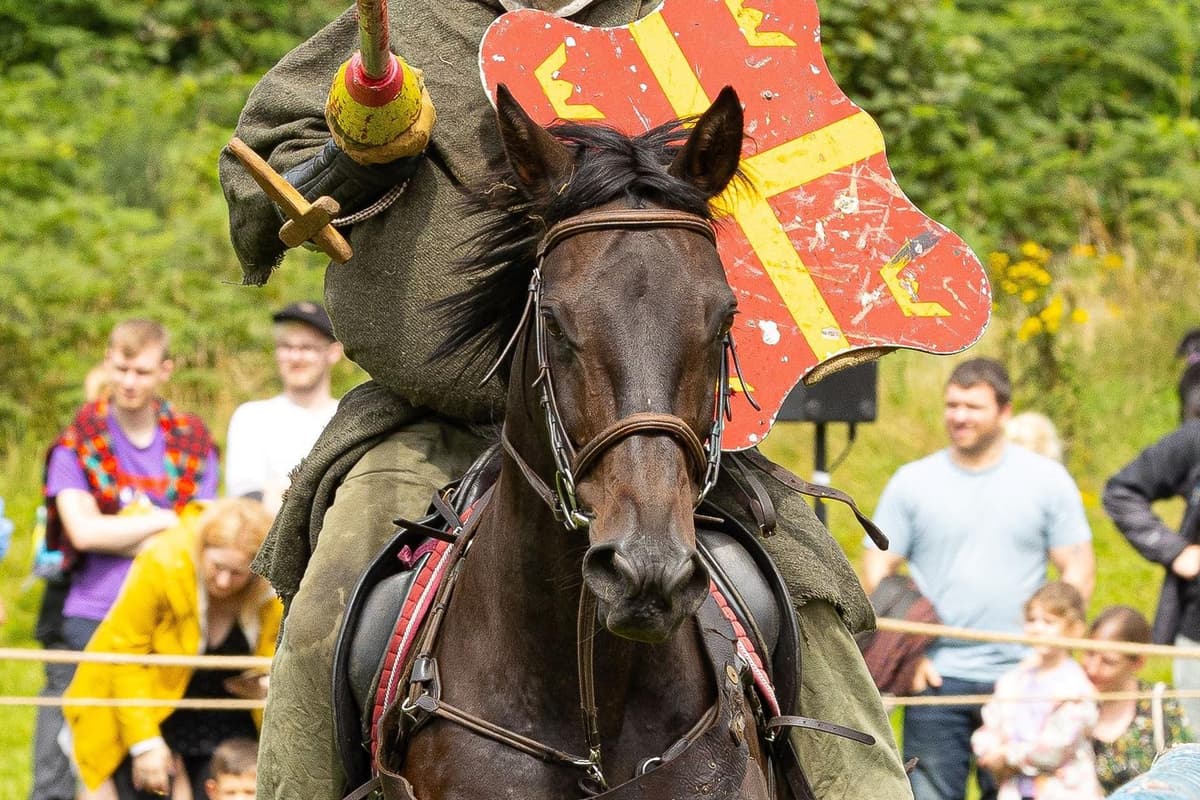 Knight Riding Us Buffalo Knights ride in for spectacular Summer shows at Sherwood