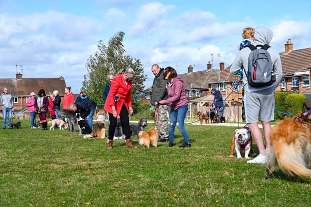 The dog show was the first event held on the new community green.