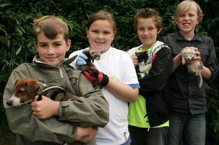 2008: Youngsters enjoy a cuddle with some of the local farm animals from Windmill Farm at a summer fair held at Kimberley Primary School.