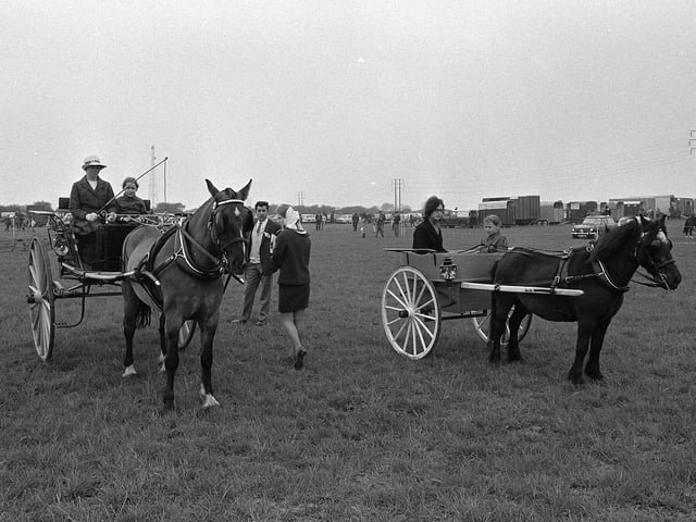 Pony rides at Kirkby Gala in 1970.