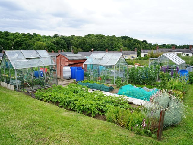 Greenhouses - growing seasonal produce.