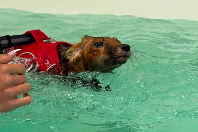 Chance is getting stronger everyday thanks to his rehabilitation sessions