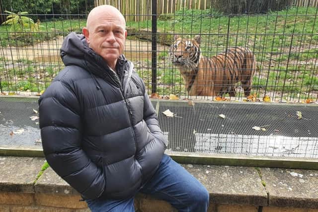 Ross Kemp with a Bengal tigers at Heythrop Zoological Garden in Oxfordshire (Picture: ITV)