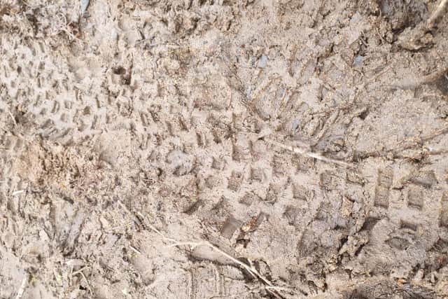 Tyre marks from off-road bikes were found by police at the scene.